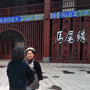 水族非遺又“上會” 宋水仙：馬尾繡“繡”出美好新生活