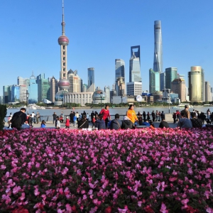上海街頭花團(tuán)錦簇迎進(jìn)博會 1340萬盆鮮花點綴街頭