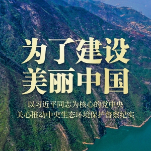 為了建設(shè)美麗中國——以習(xí)近平同志為核心的黨中央關(guān)心推動中央生態(tài)環(huán)境保護督察紀(jì)實